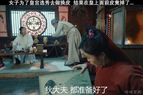 换皮在线观看,一场惊心动魄的虚拟世界冒险之旅  第3张